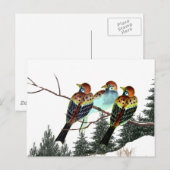 Een ster is geboren briefkaart (Voorkant / Achterkant)