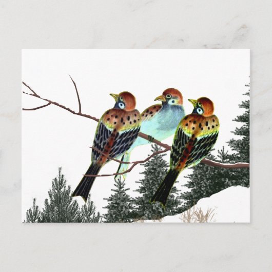 Een ster is geboren briefkaart (Voorkant)