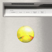 Een ster wordt geboren - Wetenschapsfilm digitale Magneet (Insitu (Vaatwasser))