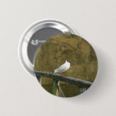 Een stern - knop ronde button 5,7 cm (Voorkant /achterkant)