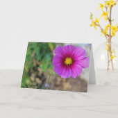 Een sterrenstelsel in een bloem kaart (Gele Bloem)