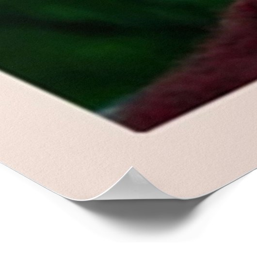 Een stil plaatsminimalistisch poster (Hoek)