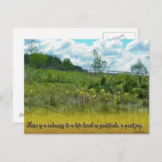 Een stille vreugde briefkaart (Voorkant / Achterkant)