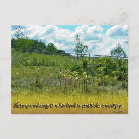 Een stille vreugde briefkaart (Voorkant)