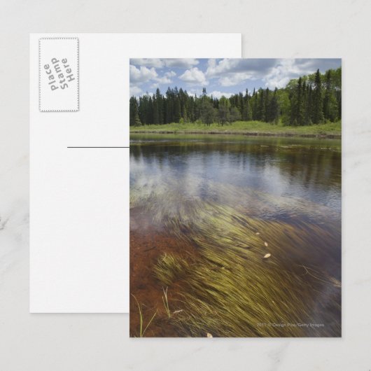 Een stilstaand beeld dat de wolken weergeeft briefkaart (Voorkant / Achterkant)