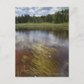 Een stilstaand beeld dat de wolken weergeeft briefkaart (Voorkant)