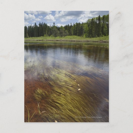 Een stilstaand beeld dat de wolken weergeeft briefkaart (Voorkant)