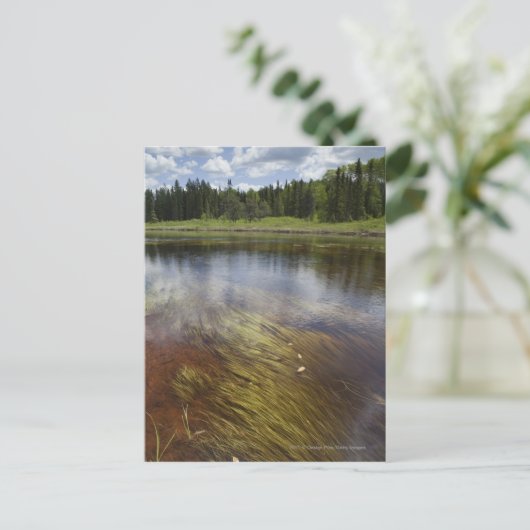 Een stilstaand beeld dat de wolken weergeeft briefkaart (Staand voorkant)