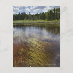 Een stilstaand beeld dat de wolken weergeeft briefkaart