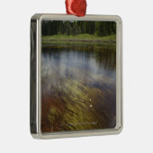 Een stilstaand beeld dat de wolken weergeeft metalen ornament (Rechts)