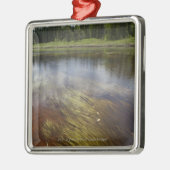 Een stilstaand beeld dat de wolken weergeeft metalen ornament (Links)