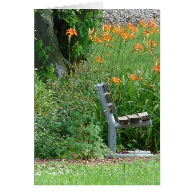 Een stoel hebben (Voorkant)