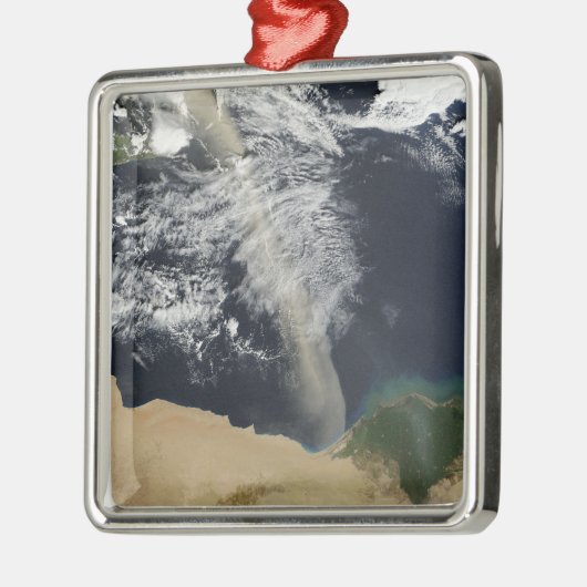 Een stofpluim metalen ornament (Links)