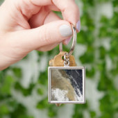 Een stofwand uit het noorden van Queensla Sleutelhanger (Hand)