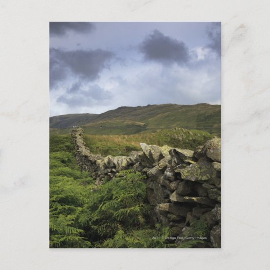 Een stone omheining door velden briefkaart (Voorkant)