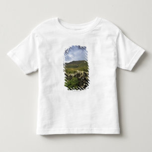 Een stone omheining door velden kinder shirts