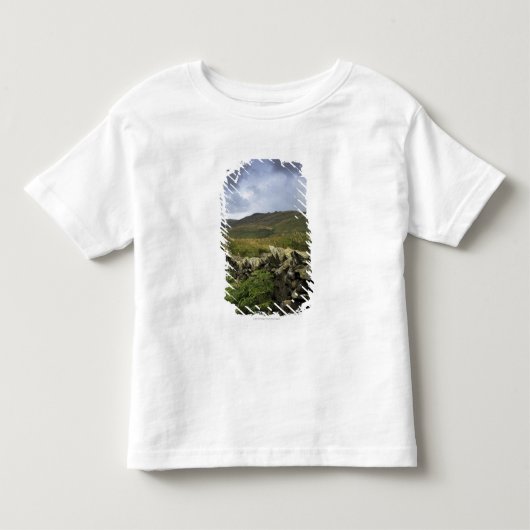 Een stone omheining door velden kinder shirts (Voorkant)