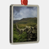 Een stone omheining door velden metalen ornament (Rechts)