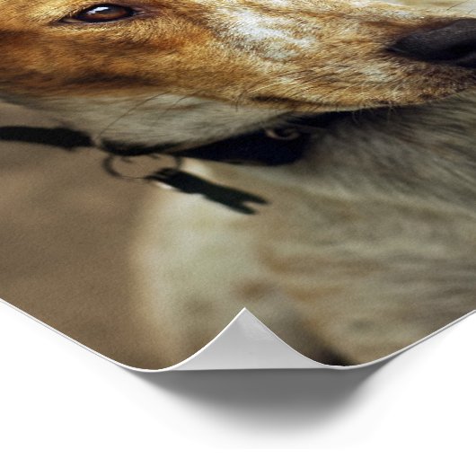 Een strak Poster aannemen (Hoek)