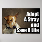 Een strak Poster aannemen (Voorkant)