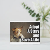 Een strakke postkaart aannemen (Staand voorkant)