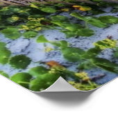 Een strand omheining bij zonsondergang poster (Hoek)