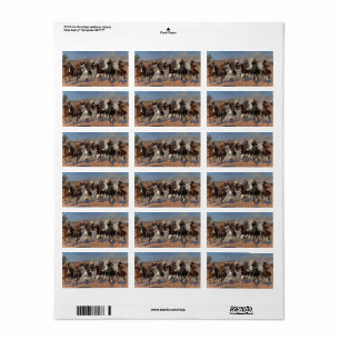 Een streepje voor het hout van Frederic Remington Etiket