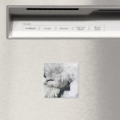 Een streng storm magneet (Insitu (Vaatwasser))