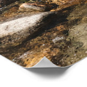 Een stromende rivier met helder water dat stroomt poster (Hoek)