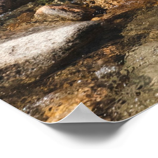 Een stromende rivier met helder water dat stroomt poster (Hoek)