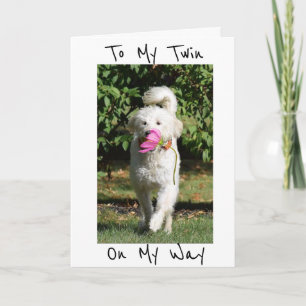 EEN STROOM EN TWEEDE DAG VOOR MIJN ***TWIN** KAART