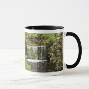 Een stroom en waterval in het natuurpark Dartmoor Mok