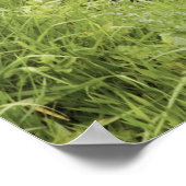 Een stroom en waterval in het natuurpark Dartmoor Poster (Hoek)