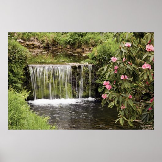 Een stroom en waterval in het natuurpark Dartmoor Poster (Voorkant)