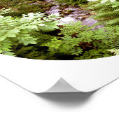 Een stroom in een bos van varens fotografie poster (Hoek)