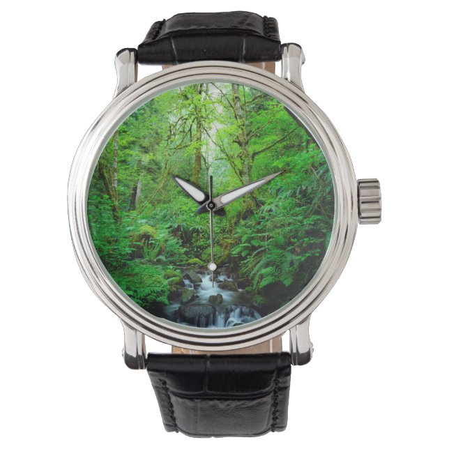 Een stroom in een oerbos horloge (Voorkant)
