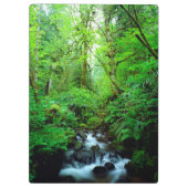 Een stroom in een oerbos klembord (Achterkant)
