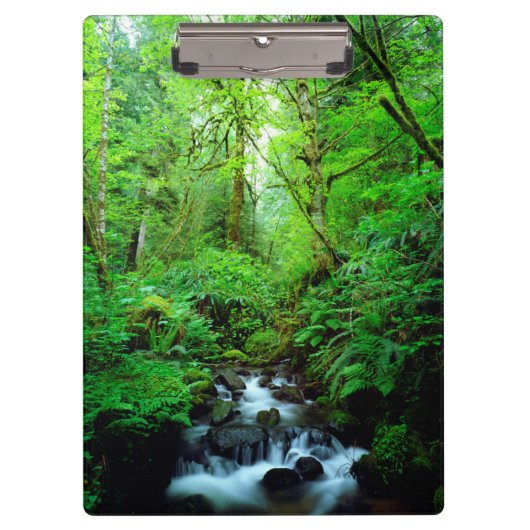 Een stroom in een oerbos klembord (Voorkant)