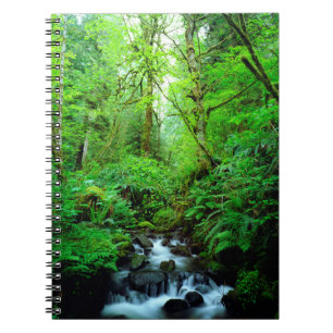 Een stroom in een oerbos notitieboek