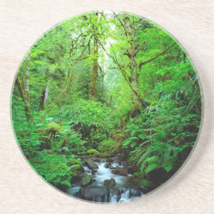 Een stroom in een oerbos zandsteen onderzetter