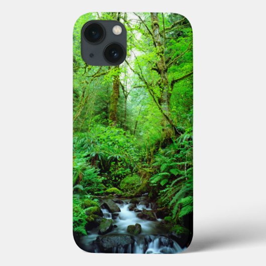 Een stroom in een oud-groeibos Case-Mate iPhone case (Achterkant)