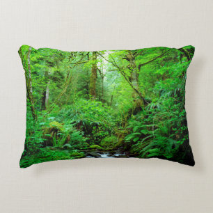 Een stroom in een oud-groeibos decoratief kussen