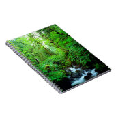 Een stroom in een oud-groeibos notitieboek (Rechterzijde)