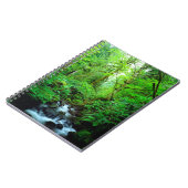 Een stroom in een oud-groeibos notitieboek (Linkerzijde)