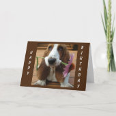 **EEN STROOM VOOR U** OP UW *GROTE DAG* KAART (Voorkant)