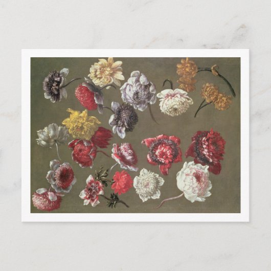 Een studie naar volken (olie op doek) briefkaart (Voorkant)