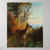 Een stuiter in het bos poster (Voorkant)