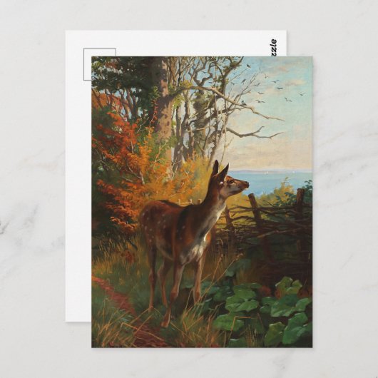 Een stuiter in het Briefkaart van de bosbouw (Voorkant / Achterkant)