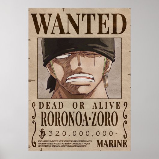 Eén stuk Zoro Gezocht Poster (Voorkant)