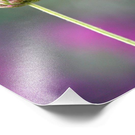 Een stukje lavender foto afdruk (Hoek)